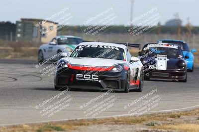 media/May-31-2025-PCA Golden Gate (Sat) [[8f9c8200fc]]/Club Race/Session 1 (Star Mazda)/